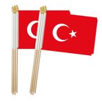 Zigvert Türkiye Çubuk Bayrağı, Türk Küçük Mini El Bayrakları, Küçük Türkiye Bayrağı 12 x 20 cm, 12 Paket, Parti Dekorasyon Malzemeleri Geçit Törenleri, Dünya Kupası, Festival Etkinlikleri