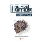 Zihnimde Birikenler - Gelişime Girişime ve Ekonomiye Dair