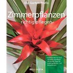 Zimmerpflanzen richtig pflegen. Die Garten-Profis