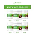 Zinderm At Kestanesi Masaj Kremi 6 x 500 ML
