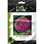 Zinnia Çiçek Tohumu (Kirli Hanım Çiçeği) - ZINNIA (~ Takribi 25 Tohum)
