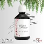 Zinzino Balance Oil+, Omega 3, D Vitamini, Epa, Dha ve Polifenollü Yeni Nesil Balık Yağı 300 ml, Greyfurt Aromalı