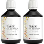 Zinzino Balance Oil Plus Omega-3 2x300 ml Sıvı