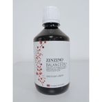 Zinzino Balanceoil+, 300 ml Yeni Nesil Balık Yağı, Greyfurt Limon Aromalı