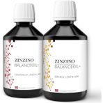 Zinzino Omega 3 Yeni Nesil Zeytinyağlı Balık Yağı (Portakal ve Nane Aromalı) - Portakal - Limon