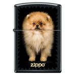 Zippo Puppy Çakmak
