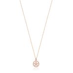 Zirkon Taşlı Rose Altın Kaplamalı Gümüş Yıldız Kolye