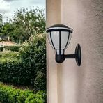 Zita Kupa Bahçe Duvar Apliği 37 Cm | E27 Duy | Ip54 Dış Mekan Duvar Lambası | Uv Protection | Bahçe, Teras, Veranda Yürüyüş Yolu (Ampul Hariç)
