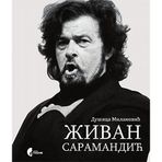 Zivan Saramandic