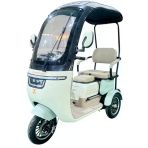 Zlin Motors Luna Pro 1000 W 3 Tekerlekli Elektrikli Motosiklet