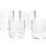 Zm Decor Mercan, Viski Bardağı, 4'Lü Set