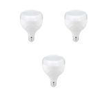 ZMR -110/B.65 20W 3’lü Kristal Camlı T-Bulb LED Ampul E27 6500K Beyaz Işık 1800lm