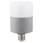 Zmr 114G65 20 Watt Oval Dekoratif LED Ampul E27 Beyaz Işık 6500 Kelvin - 20 - 30 W