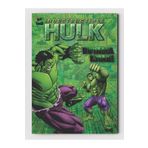 ZNC Hulk Boyama Kitabı (20 Tam Sayfa), (+1 Sayfa Sticker)