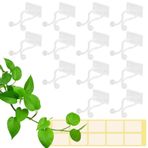 Zocipro 100 Adet Kendinden Yapışkanlı Tırmanma Tesisi Desteği, Bitki Tırmanma Duvar Armatürü Klipsleri, Tırmanma Tesisleri için Bahçe Teli için Asma Klipsi, Bitki Duvarları Oluşturma, Tırmanma Tesisleri için Bitki Kancaları
