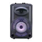 Zore Gd-903 Dijital Led Göstergeli Fm Radyolu Mikrofonlu Rgb Tws 8 İnç Stereo Bass Kablosuz Karaoke Hoparlör