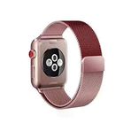 Zore KRD-22 Apple Watch 42 mm Metal Kordon