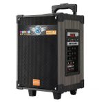 Zore Lt-908 Dijital Led Göstergeli Fm Radyolu Mikrofonlu Tws 8 İnç Stereo Bass Kablosuz Karaoke Hoparlör