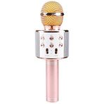 Zore WS-858 Karaoke Mikrofon