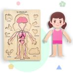 Zoziva Insan Vücudunu Öğreniyoruz, Iç Organlar Montessori Eğitici Ahşap Puzzle Oyuncağı, Doktorculuk Oyunu - Kız Çocuk