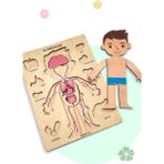 Zoziva insan Vücudunu Öğreniyoruz, Iç Organlar Montessori Eğitici Ahşap Puzzle Oyuncağı, Doktorculuk Oyunu1 Adet - Mavi
