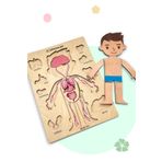 Zoziva Insan Vücudunu Öğreniyoruz, Iç Organlar Montessori Eğitici Ahşap Puzzle Oyuncağı, Doktorculuk Oyunu