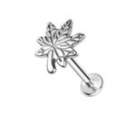 ZS ASTM F136 Titanyum 16G 8mm Piercing Takı Kabuk, Tragus, Helix, Dudak, Labret, Kulak memesi için - Hipoalerjenik Dahili Dişli Düz Sırt Kıkırdak Saplama Küpe, Titanyum, kübik zirkon