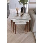 Zuesse Dizayn Reyhan 3Lü Zigon Sehpa & Yan Sehpa Ahşap Ayaklı Salon Seti Çay Sehpası - Kristal