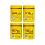 Zühre Ana Propolis Macunu