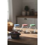Zuri Design 3’lü Cam Baharatlık Seti – Renkli Kapaklı Yuvarlak Kavanoz Takımı 370 ml - Çok Renkli