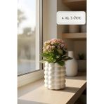 Zuri Design Beton Dekoratif Biblo Bohem Saksı – Iskandinav Tasarım 10 x 17 - Beyaz