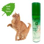 Zurich 150 ml Kedi Otu Oyun Spreyi
