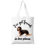 ZYQFN Kadınlar için Komik Dachshund Kanvas Bez Çanta, Köpek Anne için Köpekler Sevgilisi Hediyesi, Doğum Günü Noel Kadınlar İçin Sevimli Dachshund Hediyeleri, Okul Çalışmaları Kolej Seyahati için Tote