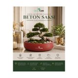 🌿 Bitkitürk Özel Üretim Beton Saksı | 33 cm Geniş Çap | Barış Çiçeği, Bonsai ve Iç Mekan Bitkileri Için Dekoratif Beton Saksı