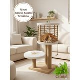 🐾 Catnipli 75 cm Kafesli Yataklı Kedi Tırmalama Tahtası – Tüm Kediiler Için Uygun, Konforlu Uyku Alanı ve Sağlam Tırmalama Sütunları ile Oyun ve Dinlenme Alanı – Ev Dekoruna Uyumlu Modern Tasarım - Beyaz - Sütlü Kahverengi