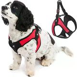 - Escape Free Easy Fit Köpek Tasması, Yemek Takımlarından Kaçmayı Seven Köpekler İçin Küçük Köpek Tasması, Kırmızı, Beden L