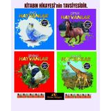 0-6 Yaş Yayınları Dokun ve Hisset- Evcil Hayvanlar, Yaban Hayvanlar, Sevimli Hayvanlar, Sevimli Hayvanlar(4kitap)