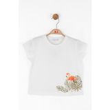 04-08 Yaş Kız Çocuk Flamingo Tema T-Shirt - Ekru - 7 Yaş