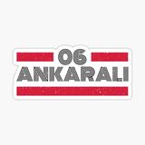 06 Ankaralı Plaka Araba Sticker Yapıştırması