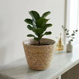 1 Adet 28 Cm Hasır Saksılık, İç Koruma Poşetli El Örmesi Dekoratif Saksı Sepeti Ve Saksı Kılıfı, 28 Cm Çap × 22 Cm Yükseklik, Salon Antre Pencere Önü Ev Ofis Bitki Dekoru, Doğal Renk