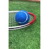 1 Adet Antrenman Tenis Topu Mavi, Tek Ebat, Wrkn01mv, Mavi