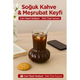 1 Adet Premium Cam Bardak Cam Pipet Hediyeli– Soğuk Kahve, Limonata Ve Soda Sunumlar 500 Ml