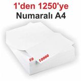 1 Den 1250 Ye Numaralı A4 Fotokopi Kağıdı