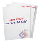 1 Den 1500 E Numaralı A4 Fotokopi Kağıdı