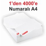 1 Den 4000 E Numaralı A4 Fotokopi Kağıdı