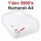 1 Den 5000 E Numaralı A4 Fotokopi Kağıdı