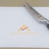 1. KALİTE ŞEFFAF PLASTİKTEN ÜRETİM 32x21cm SEBZE-ET KESİM PANOSU