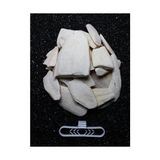 1. Kalite Temizlenmiş Kırık Kalamar Kemiği 100 gr + Tutacak - Option-1
