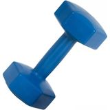 1 kg Dambıl Ağırlık 1 kg (1 Adet)
