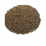 1 kg Faselya-Arı Otu Tohumu